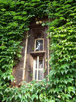116_file1.jpg